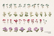 231 Vintage Dried Flowers, an Object Graphic by Ksuview (Thumbnail 5 of 8)