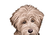 Poodle Cross Breeds 27 Dogs/Puppies, an Animal Illustration by Dneprstock (Thumbnail 16 of 27)