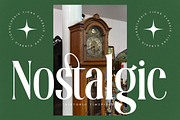 Theforest Modern Serif Font, a Serif Font by timelesstype.co (Thumbnail 10 of 20)