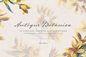Vintage Flowers Vol.01 - Extra Large