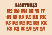 Dream Kudos - Display Ligature Sans, a Sans Serif Font by Variatype (Thumbnail 8 of 8)