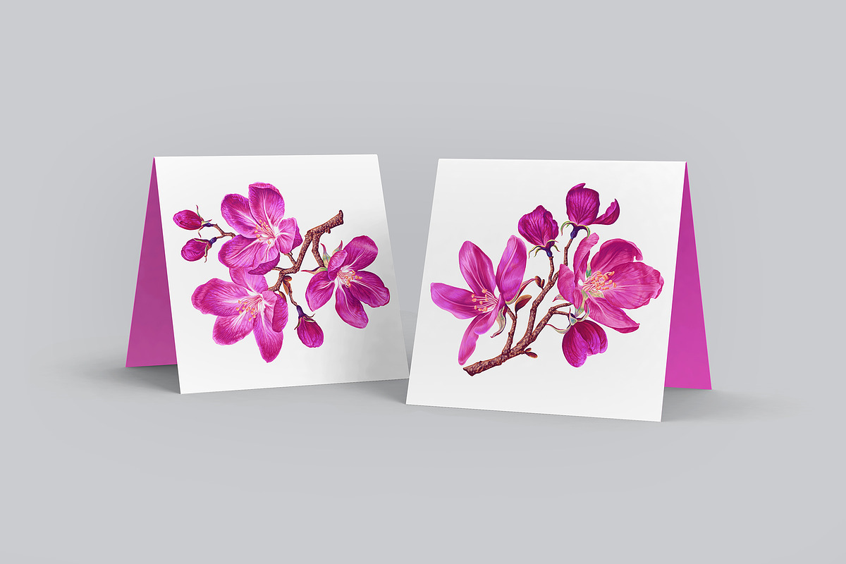 4 Apple Tree Flower Branches, an Illustration by MarynaPetrovska (Photo 11 of 14)