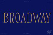 TAN - Variety, a Serif Font by TanType (Thumbnail 19 of 26)
