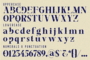 SURFACE CHANGES - LUXURY SERIF FONT, a Serif Font by 177Studio (Thumbnail 7 of 8)