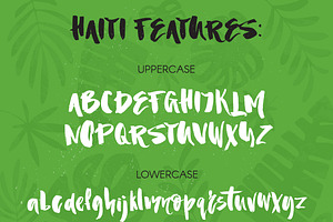 Haiti Organic Brush Font Extras