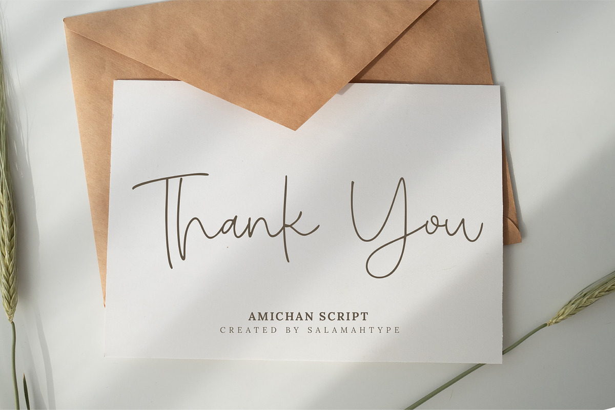 Amichan - Elegant Script, a Script Font by Salamahtype (Photo 10 of 10)