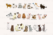 Breed Of Cat Clipart - Swiitery, an Animal Illustration by Iconixar & Friends (Thumbnail 2 of 2)