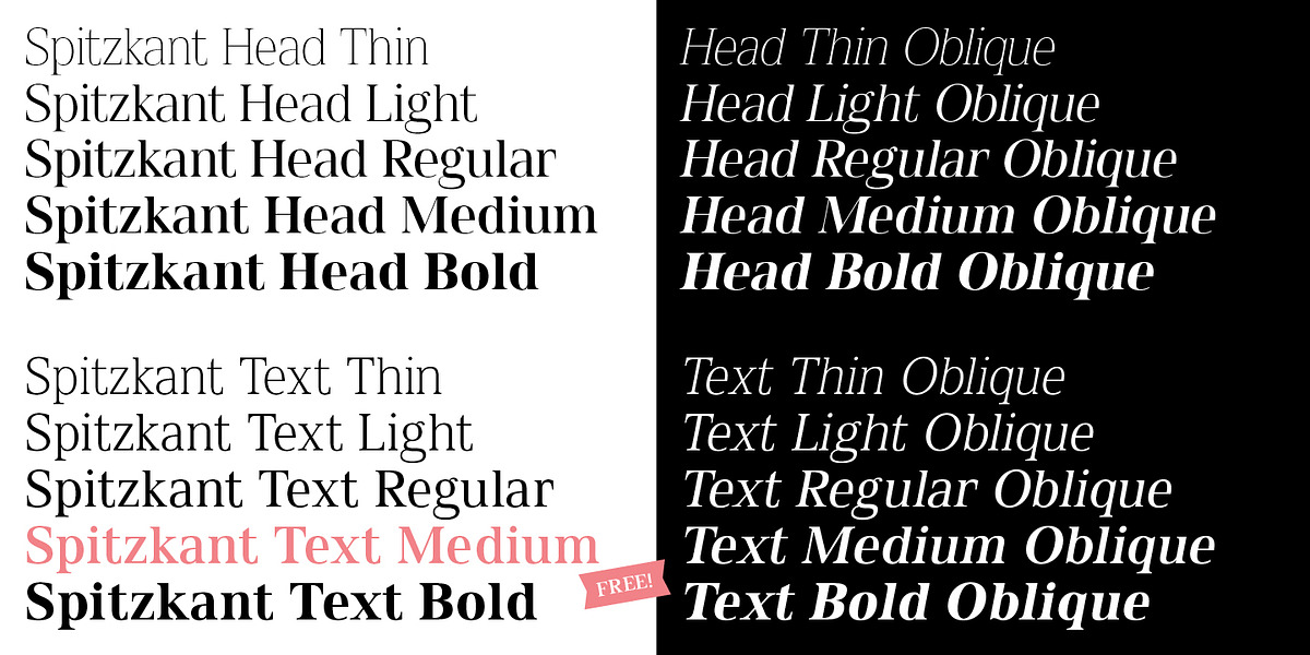 Spitzkant, a Serif Font by Julien Fincker (Photo 3 of 10)