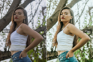 Wasabi Pro Lightroom Presets