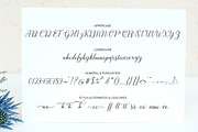 Gastine Script, a Script Font by Sammy Std (Thumbnail 15 of 15)