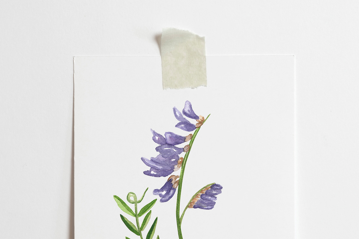 Wildflowers stories, an Illustration by Visual Animal (Photo 3 of 7)