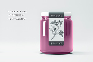 Hibiscus Botanical Line Art