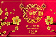 set of 2019 Chinese New Year card, a Card Template by Max vector (Thumbnail 2 of 16)