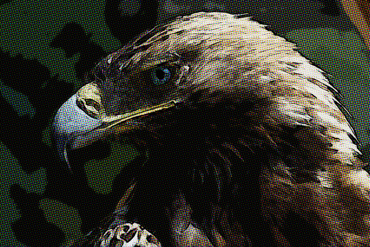 Comic Book Photoshop Action Kit, an Action Add-On by Dene Studios (Photo 7 of 14)