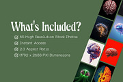 65 Human Brain Illustrations, an Object Graphic by Incomelion (Thumbnail 4 of 7)