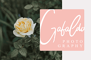 Wiltasso, a Script Font by Subqi Std (Thumbnail 10 of 10)