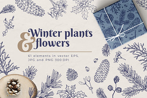 Winter Plants And Flowers