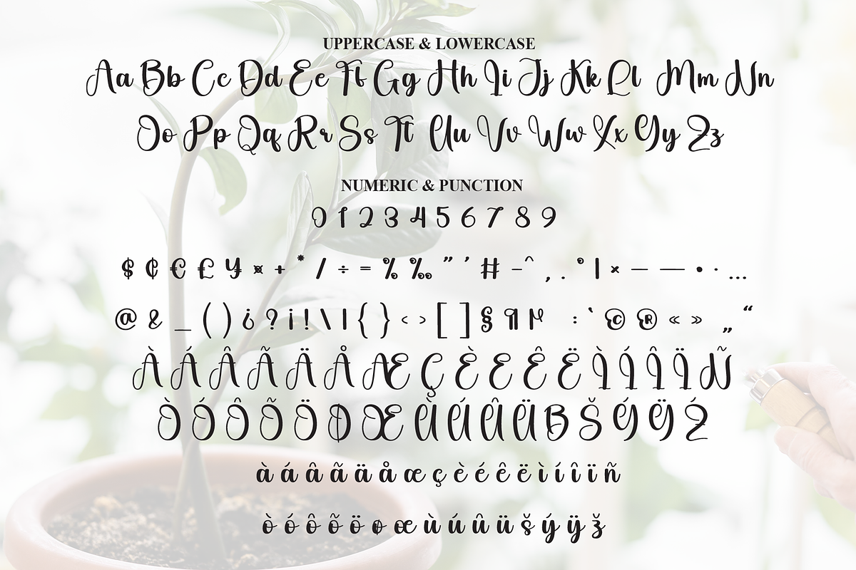 Staylive | Script Font, a Handwritten Font by Scratchones (Photo 7 of 9)