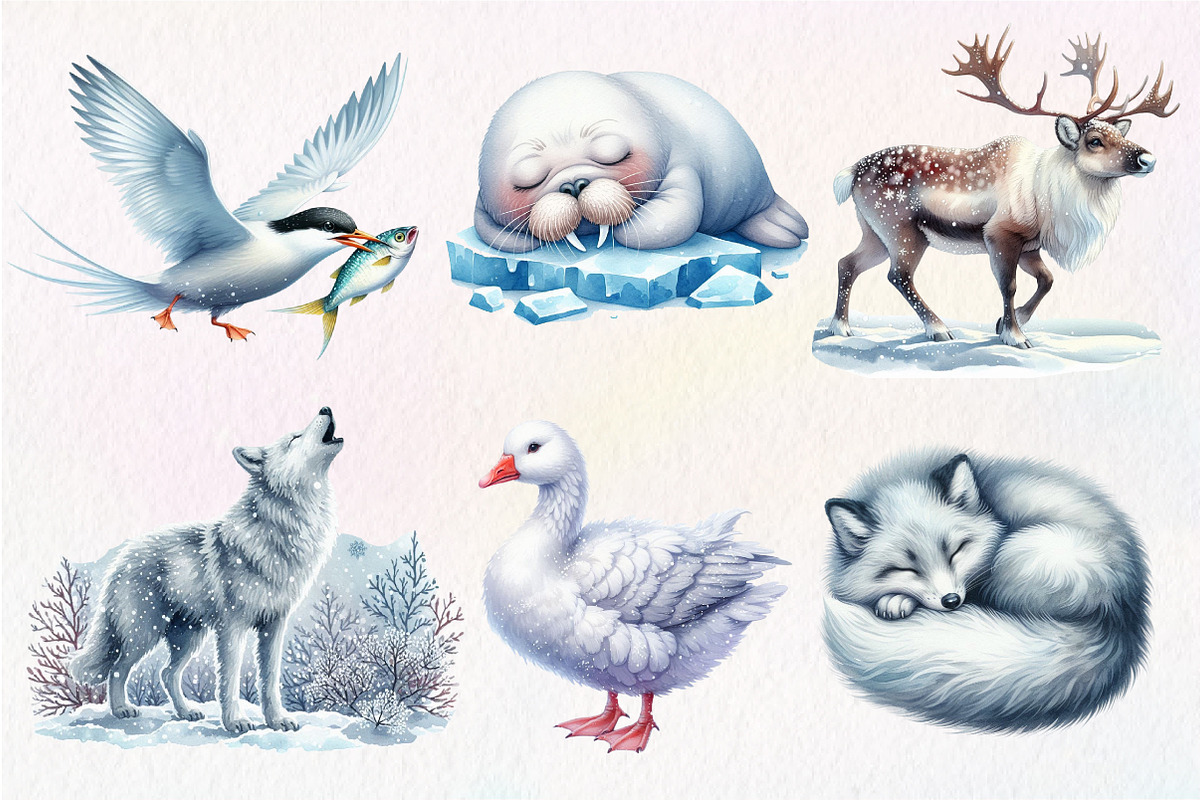 Watercolor Arctic Animals Clipart, an Illustration by Dream Creation (Photo 5 of 8)