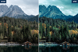 Forest Lightroom Presets