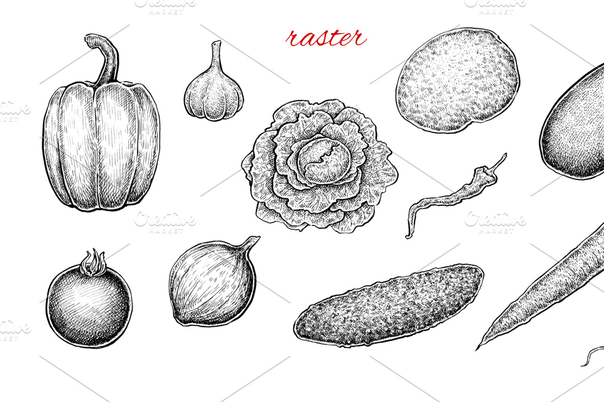 Vegetables Collection, an Object Graphic by Eugenia Hauss Design (Photo 2 of 3)