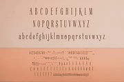 Silkgrove Font, a Serif Font by Letterhanna Studio (Thumbnail 2 of 9)