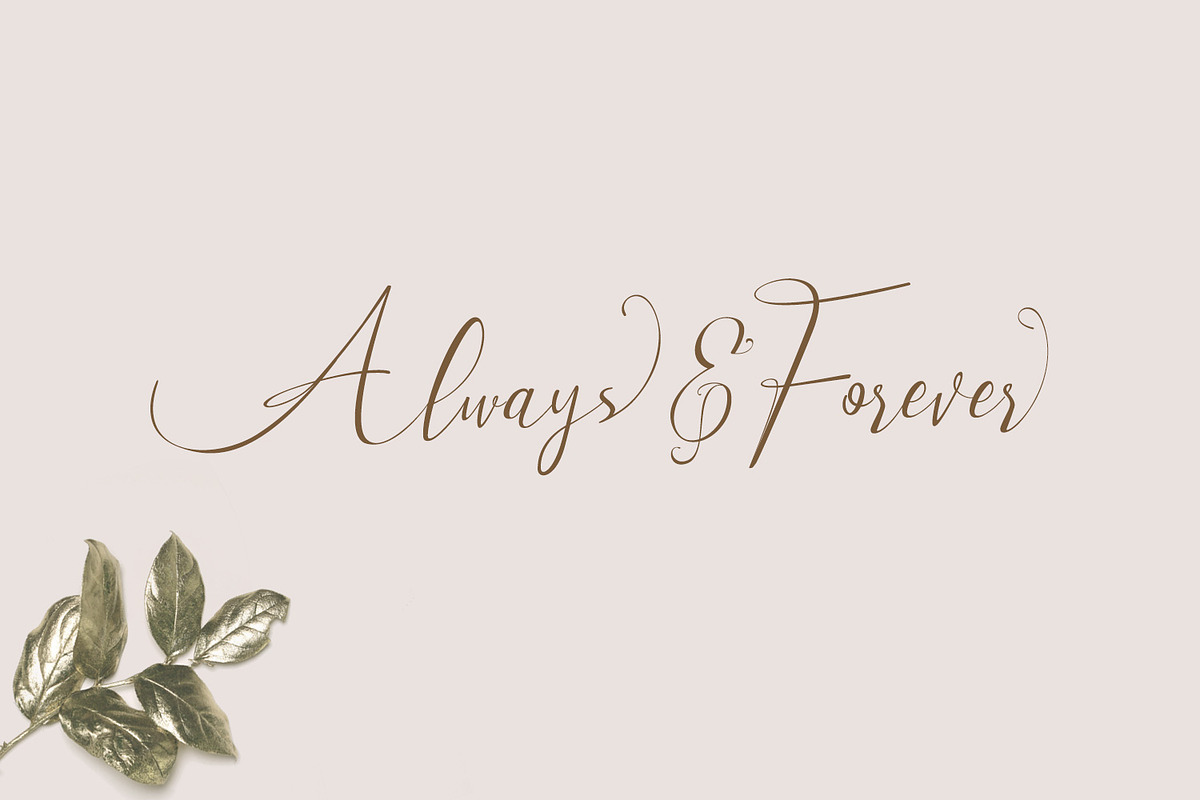 Milova | Modern Calligraphy font, a Script Font by creativemedialab (Photo 3 of 7)