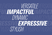 Konvex Grotesque Pro Typeface, a Sans Serif Font by BigBold Type (Thumbnail 6 of 20)