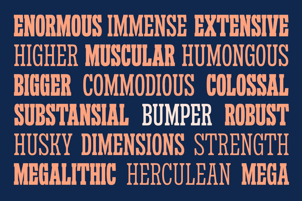 Sanford Region - Variable Font, a Slab Serif Font by Letterhend Studio (Photo 5 of 11)