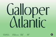 CS Agnella Drawn, a Serif Font by Craft Supply Co. (Thumbnail 3 of 8)