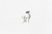 Daisy Line Art Sketch Clipart Set, a Decorative Illustration by LiiaLonn Studio (Thumbnail 5 of 5)