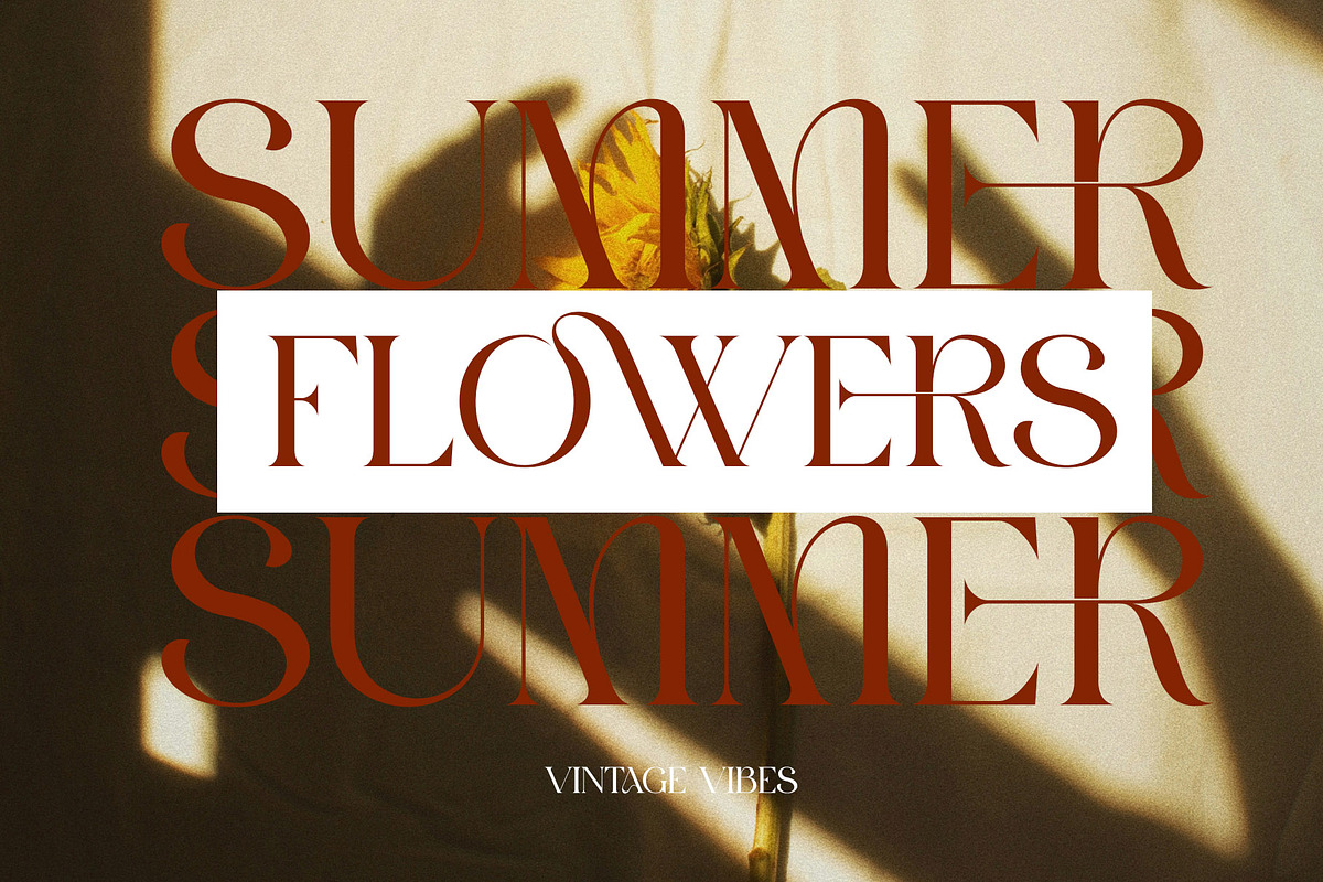GROMER Elegant Ligature Serif, a Font by Alfinart (Photo 9 of 10)