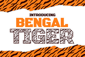 Bengal Tiger Decorative Font