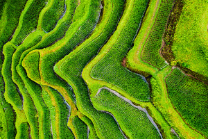 Bali, Indonesia. Aerial view