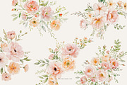 Soft Peach Watercolor Floral Clipart, a Decorative Illustration by Primrose Blume (Thumbnail 3 of 6)