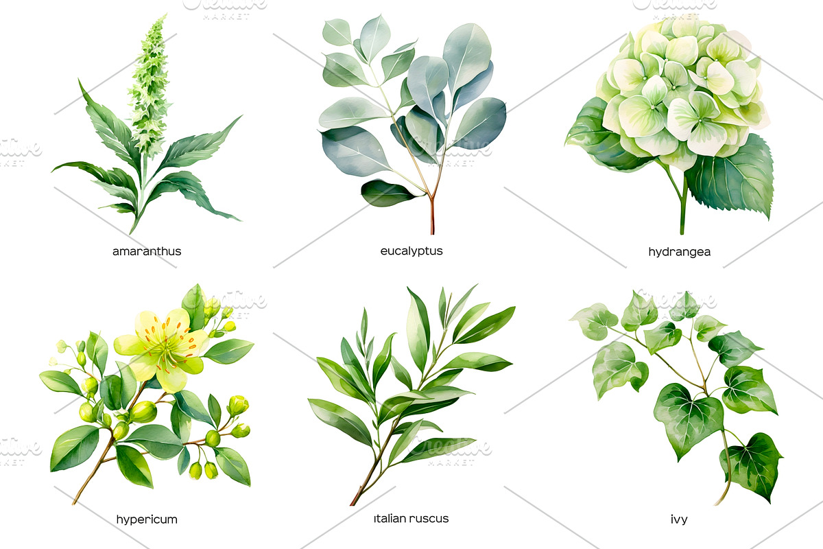 Watercolor green wedding flowers, an Object Illustration by Art and Funny (Photo 3 of 5)