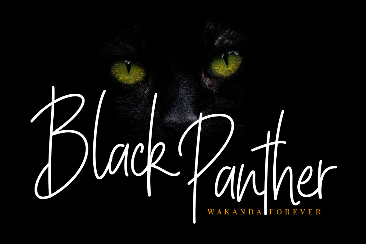 Billystuck Signature Business Font preview 4