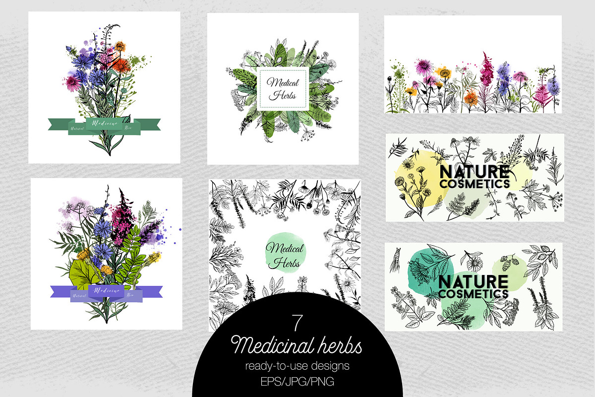 Watercolor medicinal herbs, an Illustration by Tatiana Davidova (Photo 5 of 5)