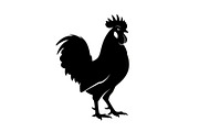 Rooster Chicken Silhouette Bundle, an Illustration by Designs_River (Thumbnail 23 of 51)