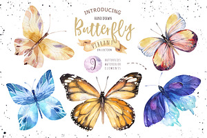 Butterflies Vibrant Collection