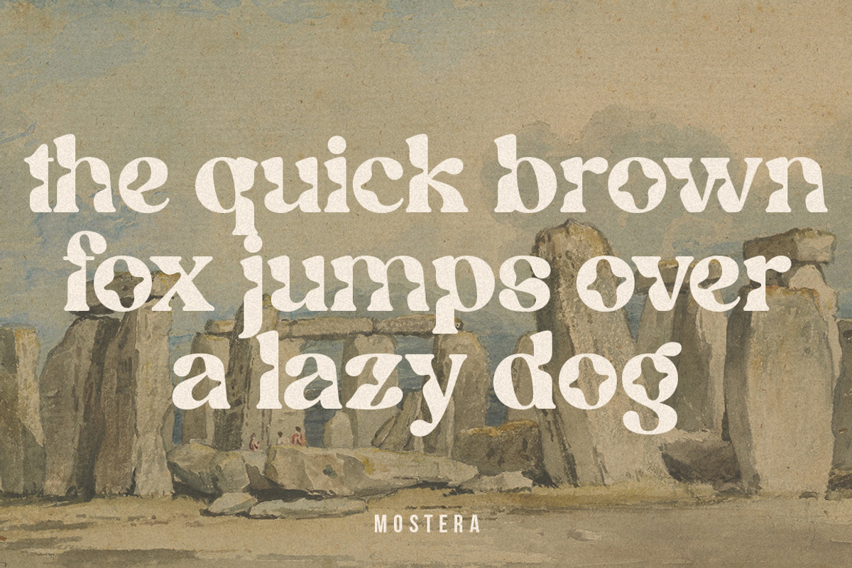 Mostera, a Serif Font by Megatype (Photo 11 of 15)