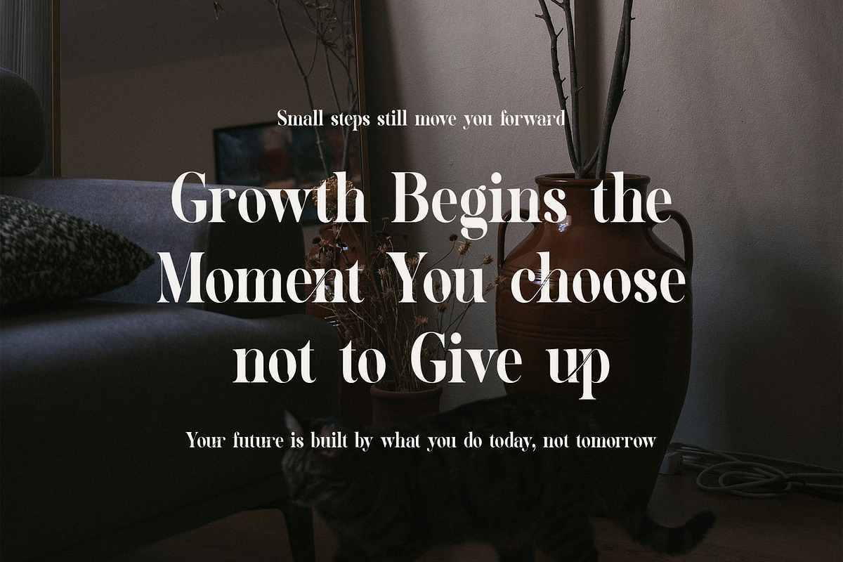 Geliga Elegant Serif Font, a Serif Font by Perfectype (Photo 5 of 8)