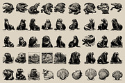 340 Sea Creatures illustrations, an Animal Illustration by Nocturnal Wolf (Thumbnail 11 of 15)
