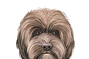 Poodle Cross Breeds 27 Dogs/Puppies, an Animal Illustration by Dneprstock (Thumbnail 12 of 27)