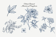 23 Collection - Peony Flowers, an Illustration by By_Pedram (Thumbnail 6 of 6)