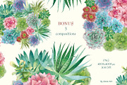 Succulents: 12 images, 6 patterns, an Illustration by Zooza Art (Thumbnail 7 of 9)