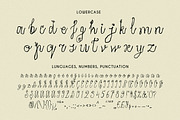 Quiet Wild Whimsical Floral Script, a Script Font by Struvictory.art (Thumbnail 7 of 9)