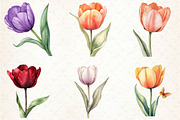 Watercolor Tulip Clipart, an Illustration by Libby Wishes (Thumbnail 3 of 5)