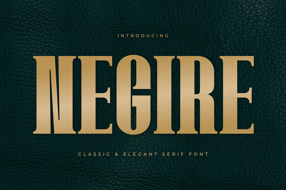Negire, a Serif Font by Almeera Std (Photo 1 of 6)