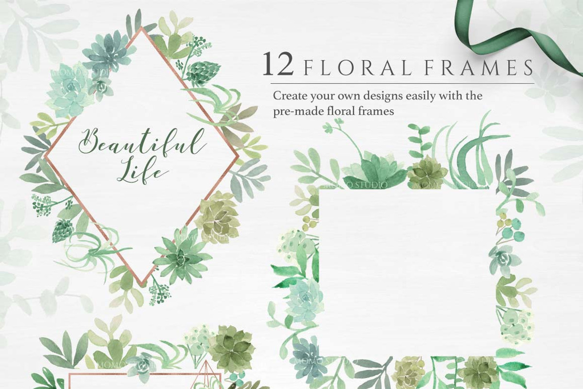 Botanist II - Airplants & Succulents, a Texture Illustration by Momo Studio (Photo 3 of 15)